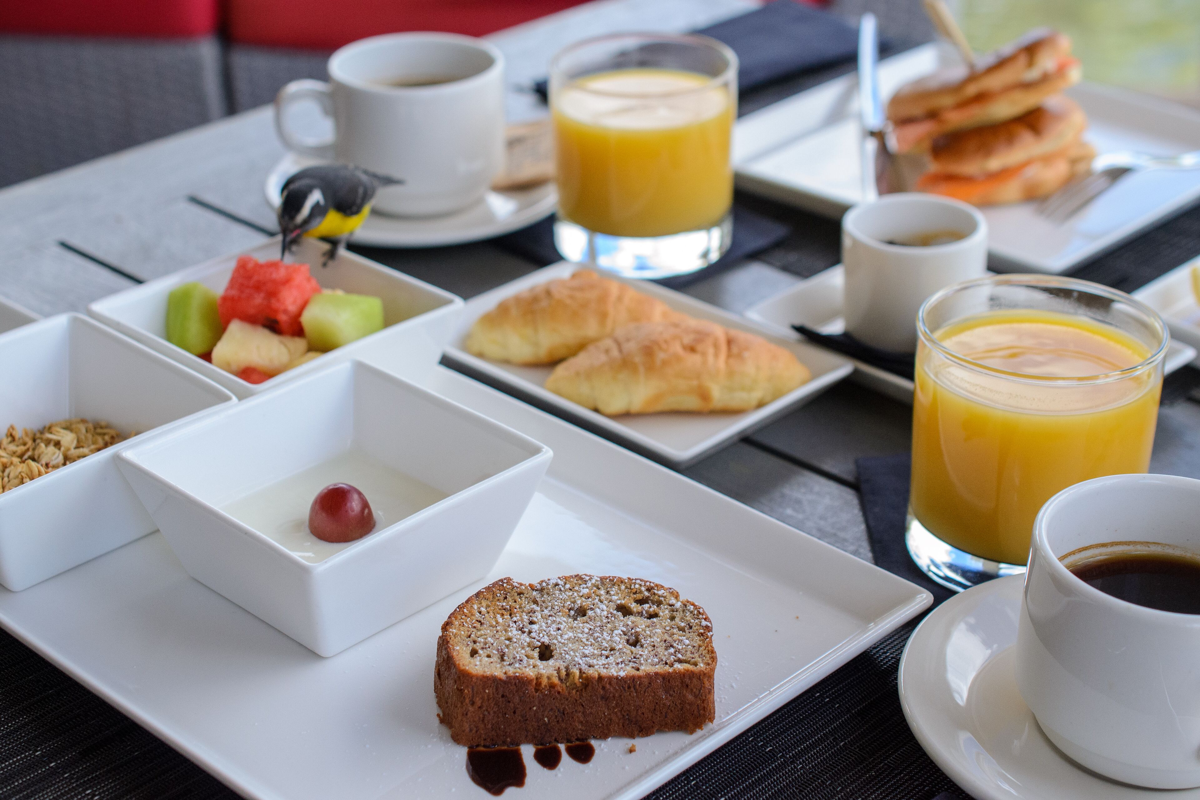 free daily continental breakfast