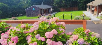 Sea Haven Resort Motel