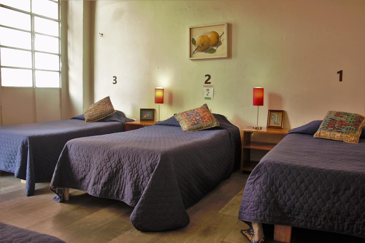 A room with three beds, each with a different patterned pillow, a framed picture on the wall, and a number sign above each bed.