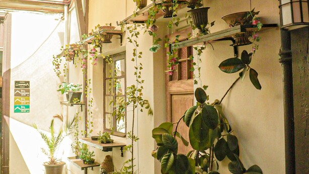 A narrow corridor with potted plants and hanging baskets on shelves, a wooden door, and a tiled floor. - Hostal Providencia - Hostel (Santiago)