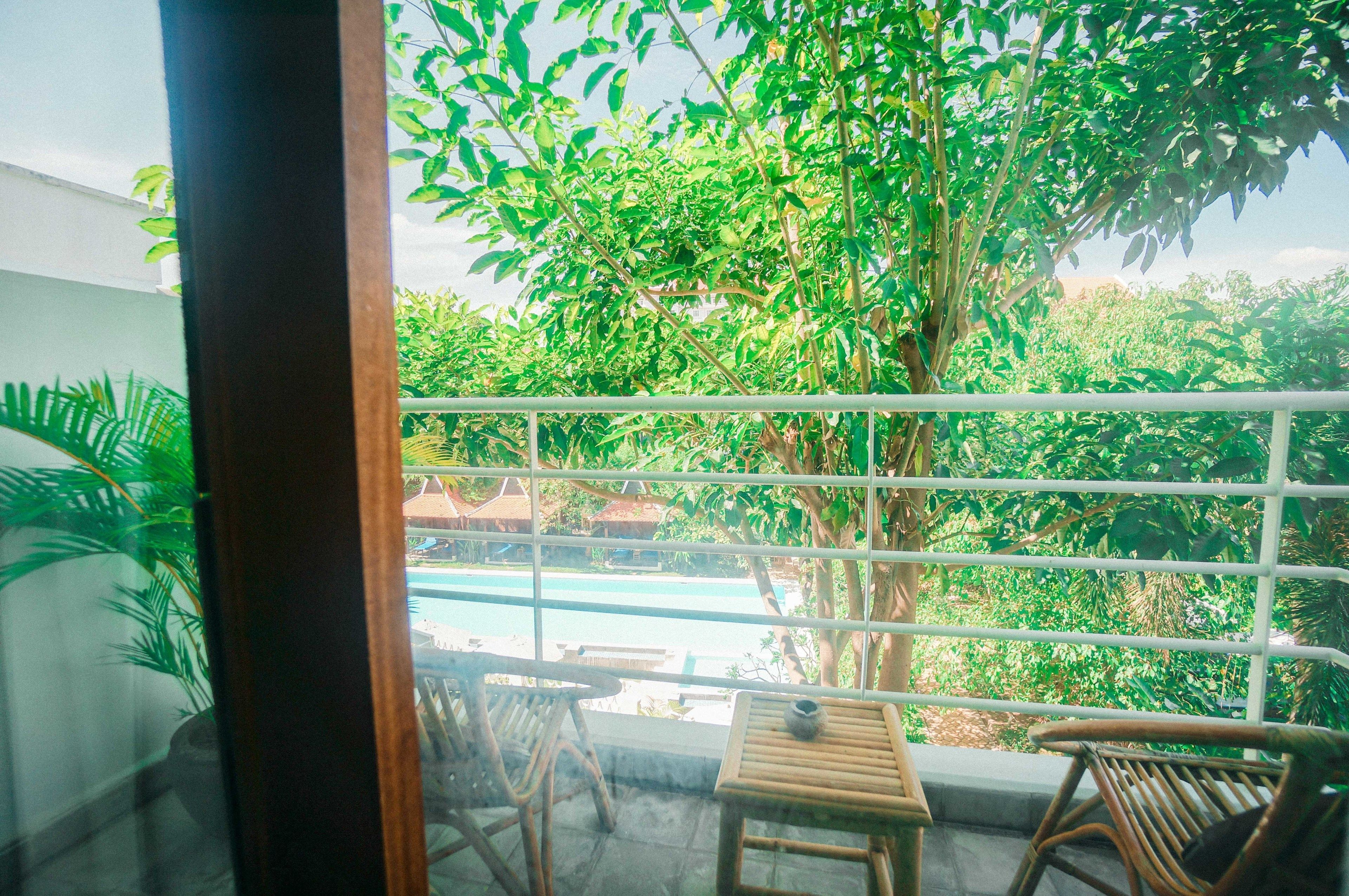 Un balcón con vista a una piscina, rodeado de abundante vegetación y un árbol grande.