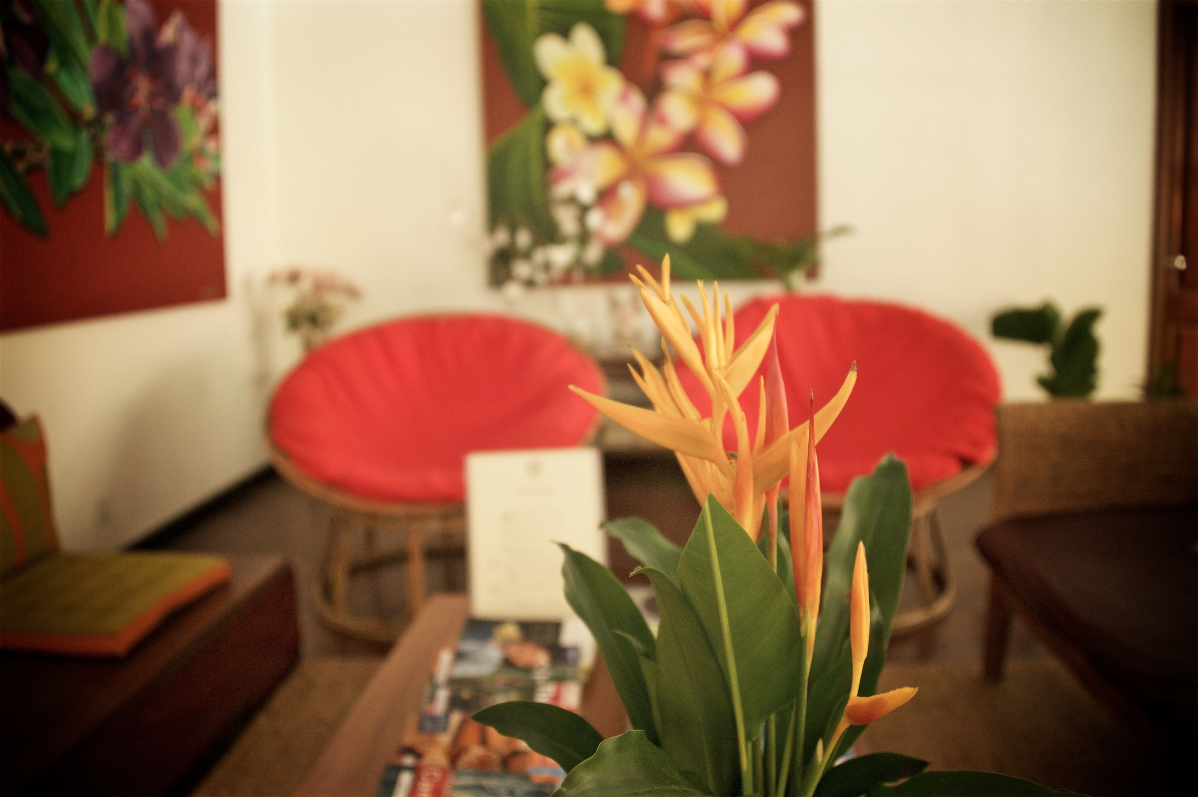 Foto - iRoHa Garden Hotel & Resort