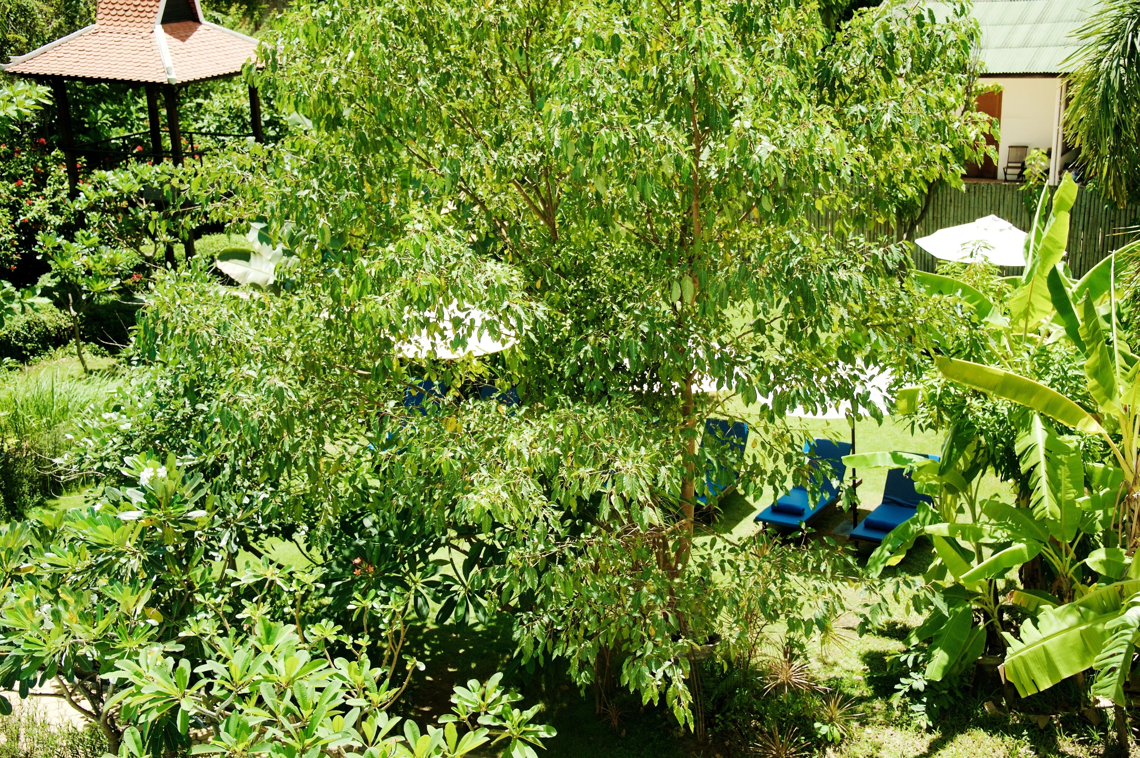 Foto - iRoHa Garden Hotel & Resort