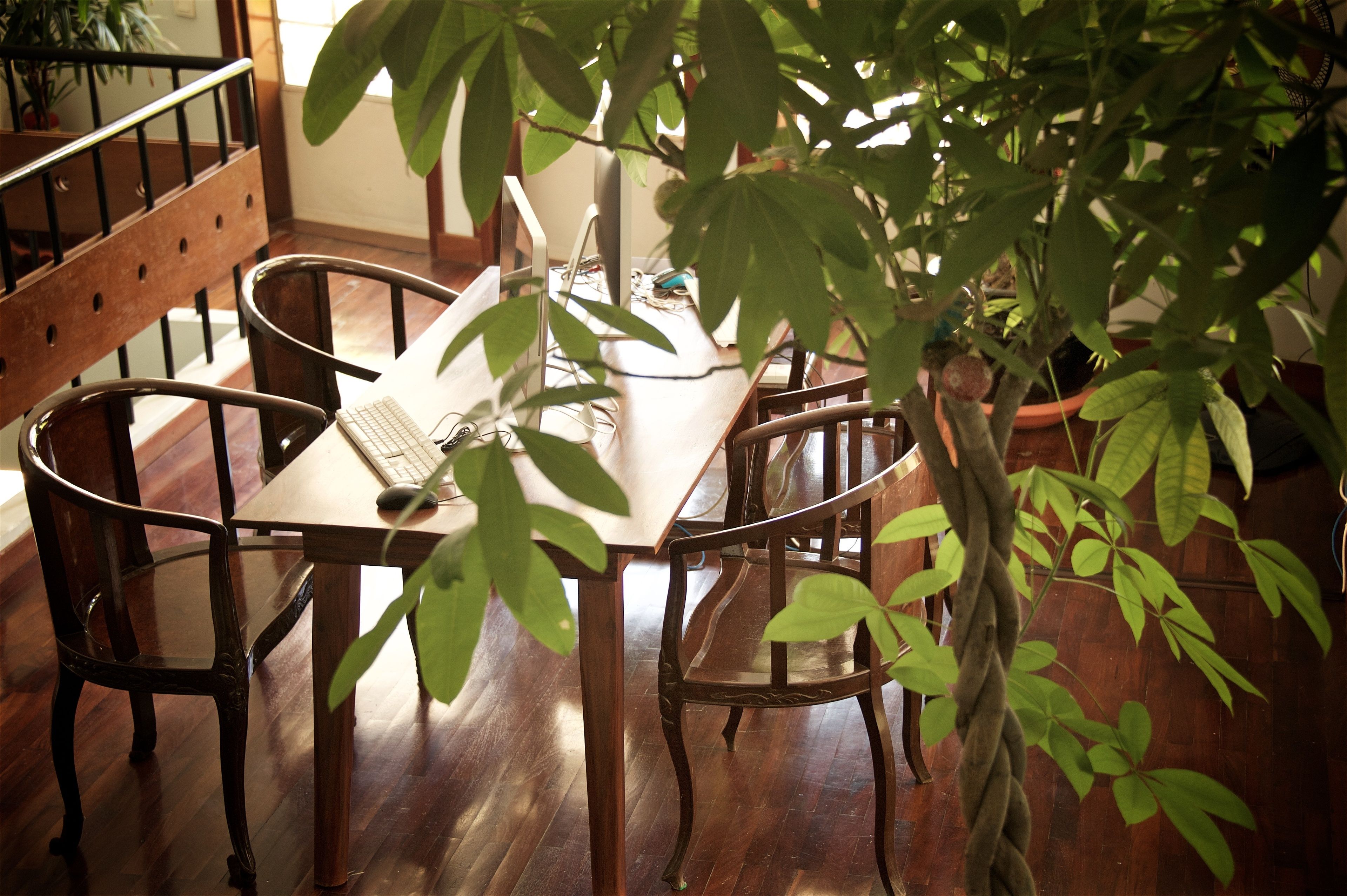 Foto - iRoHa Garden Hotel & Resort