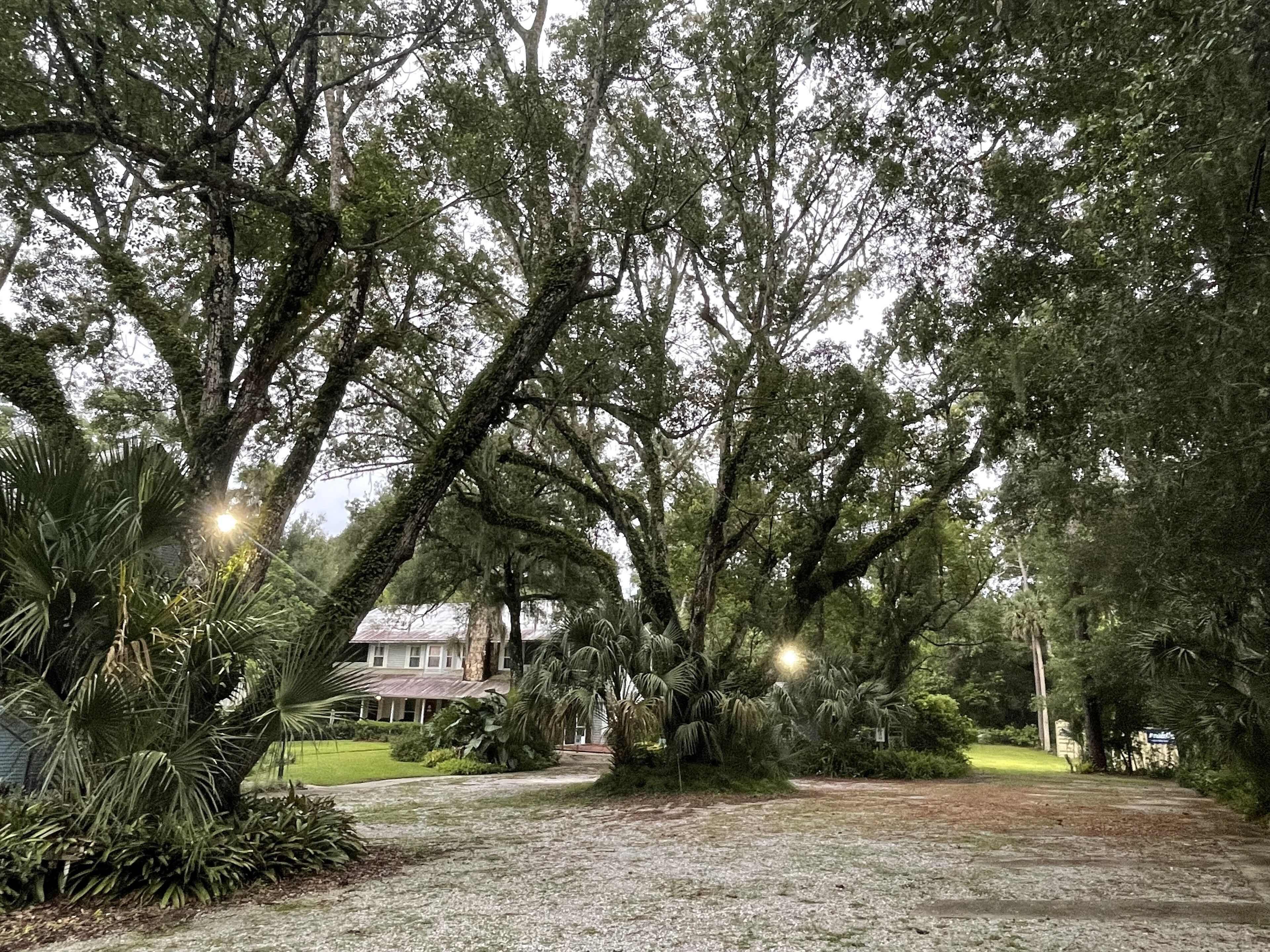 Une longue allée bordée d’arbres mène à une maison dotée d’un porche.
