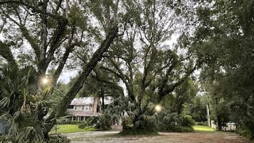 Une longue allée bordée d’arbres mène à une maison dotée d’un porche.