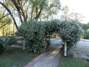 Property grounds - The Ann Stevens House (Lake Helen)