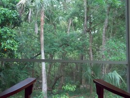 Land view from property