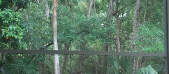 The Ann Stevens House