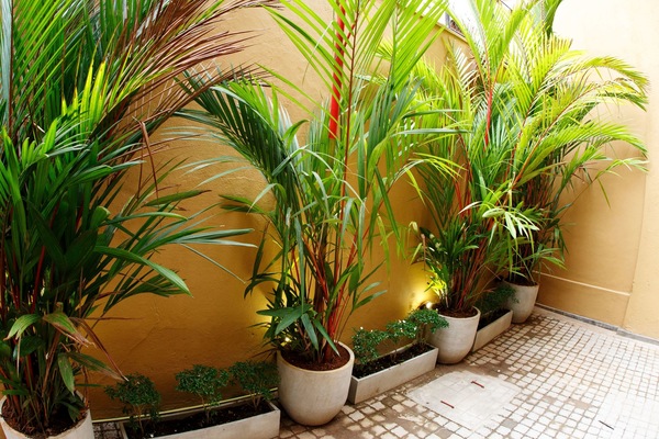 Courtyard