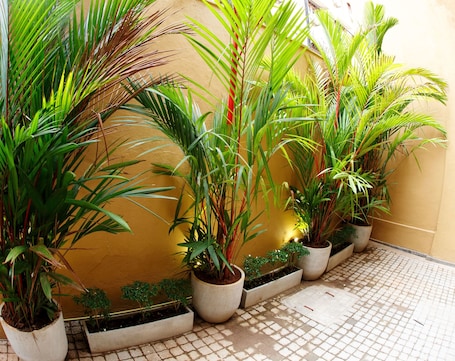 Patio. CityRest Fort - Hostel