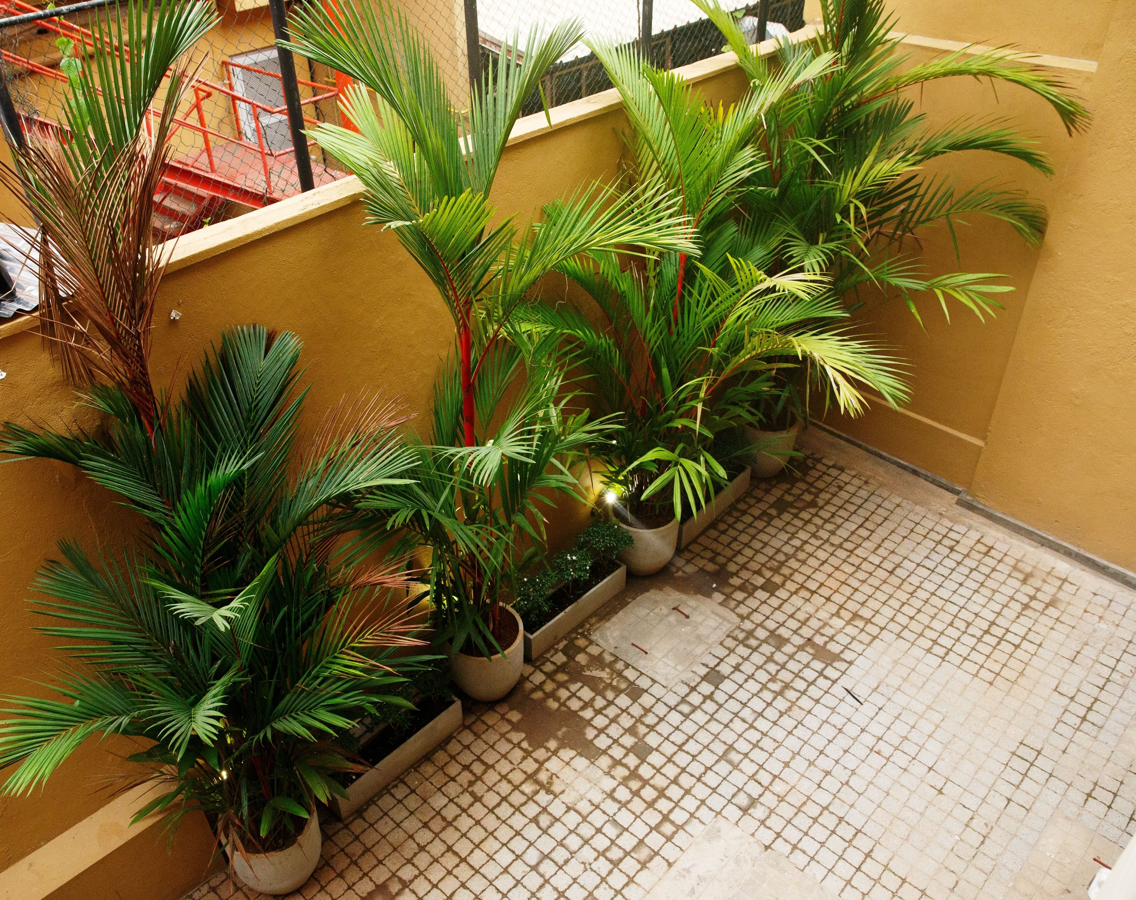 Photo - CityRest Fort