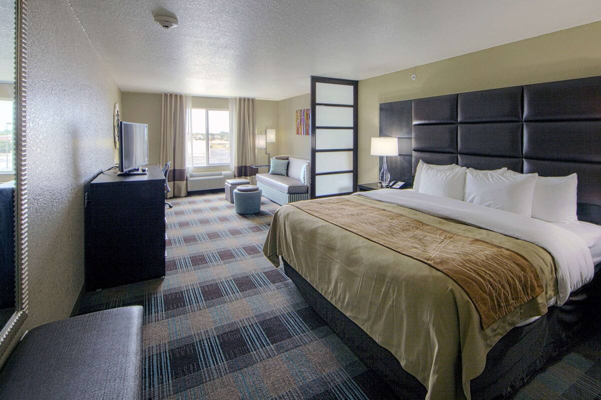 A hotel room with a bed, a desk, a chair, a sofa, a TV, and a window with curtains.