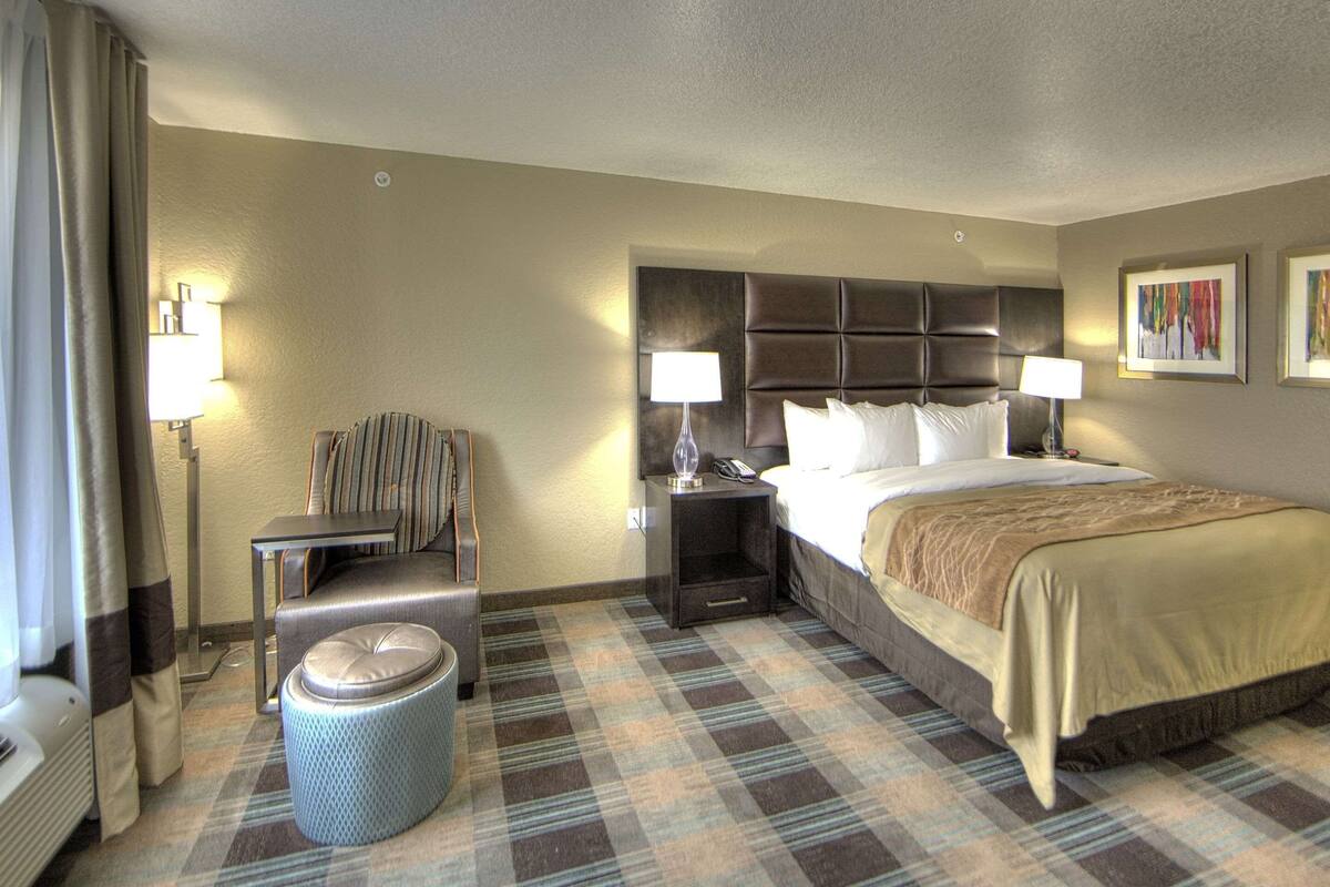 A hotel room with a bed, a chair, a nightstand, a lamp, a trash can, and a wall with a picture.
