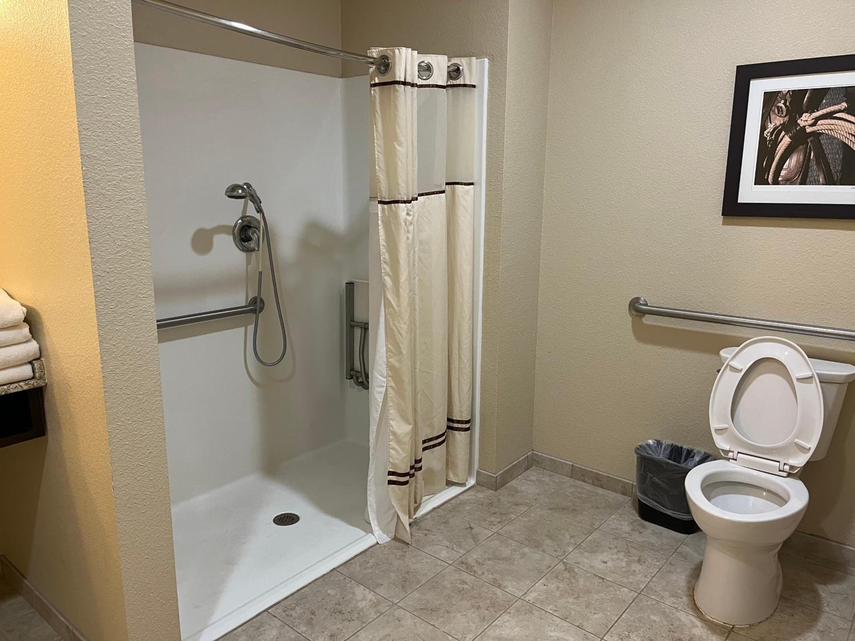 combined shower/bathtub, free toiletries, hair dryer, towels