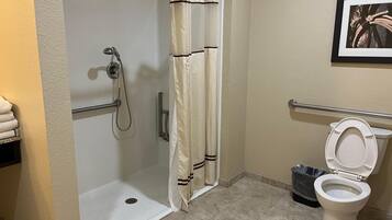Une salle de bain avec une douche, des toilettes et un tableau encadré au mur.