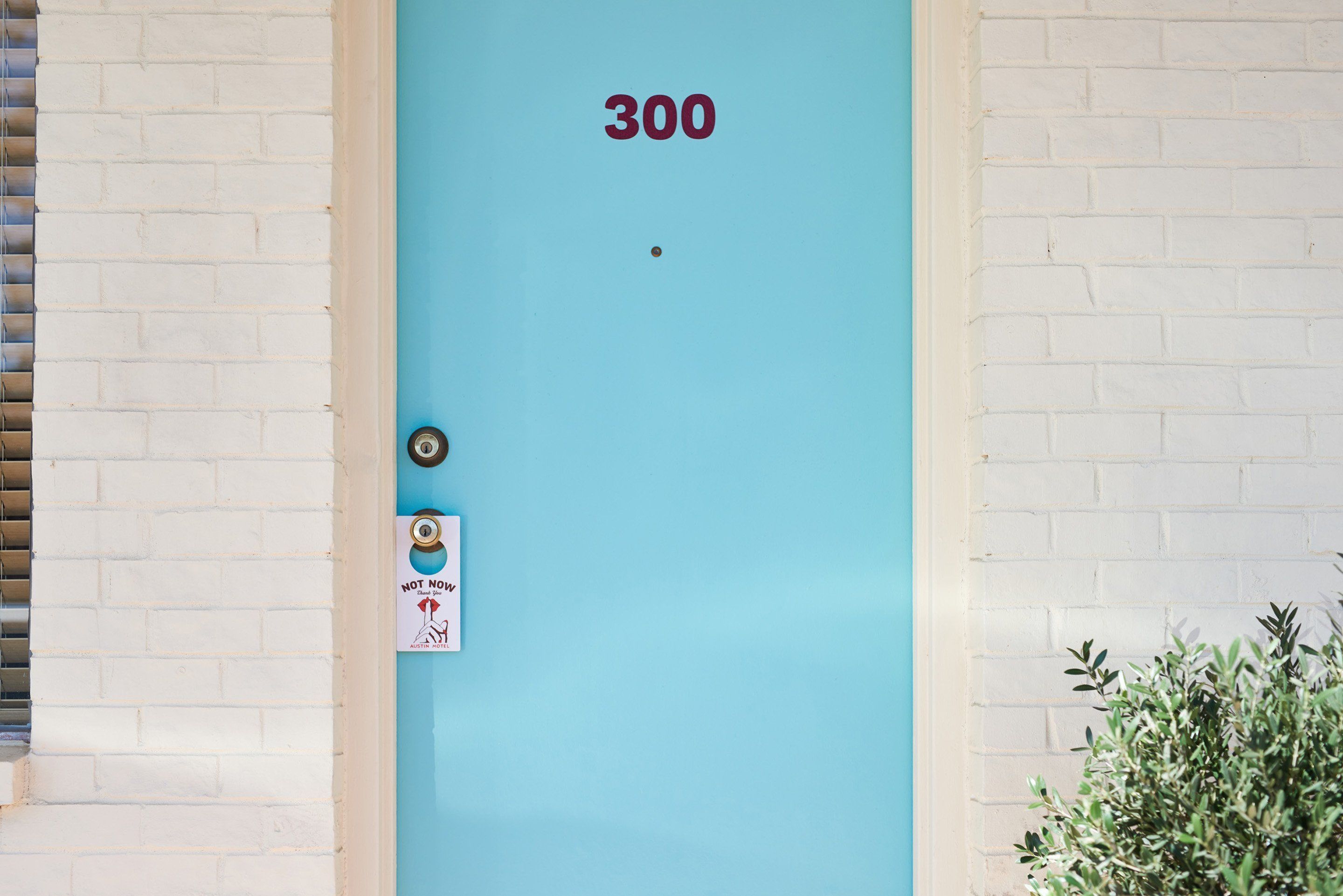 A blue door with the number 300, a 'Not No Entry' sign, and a small plant to the right.
