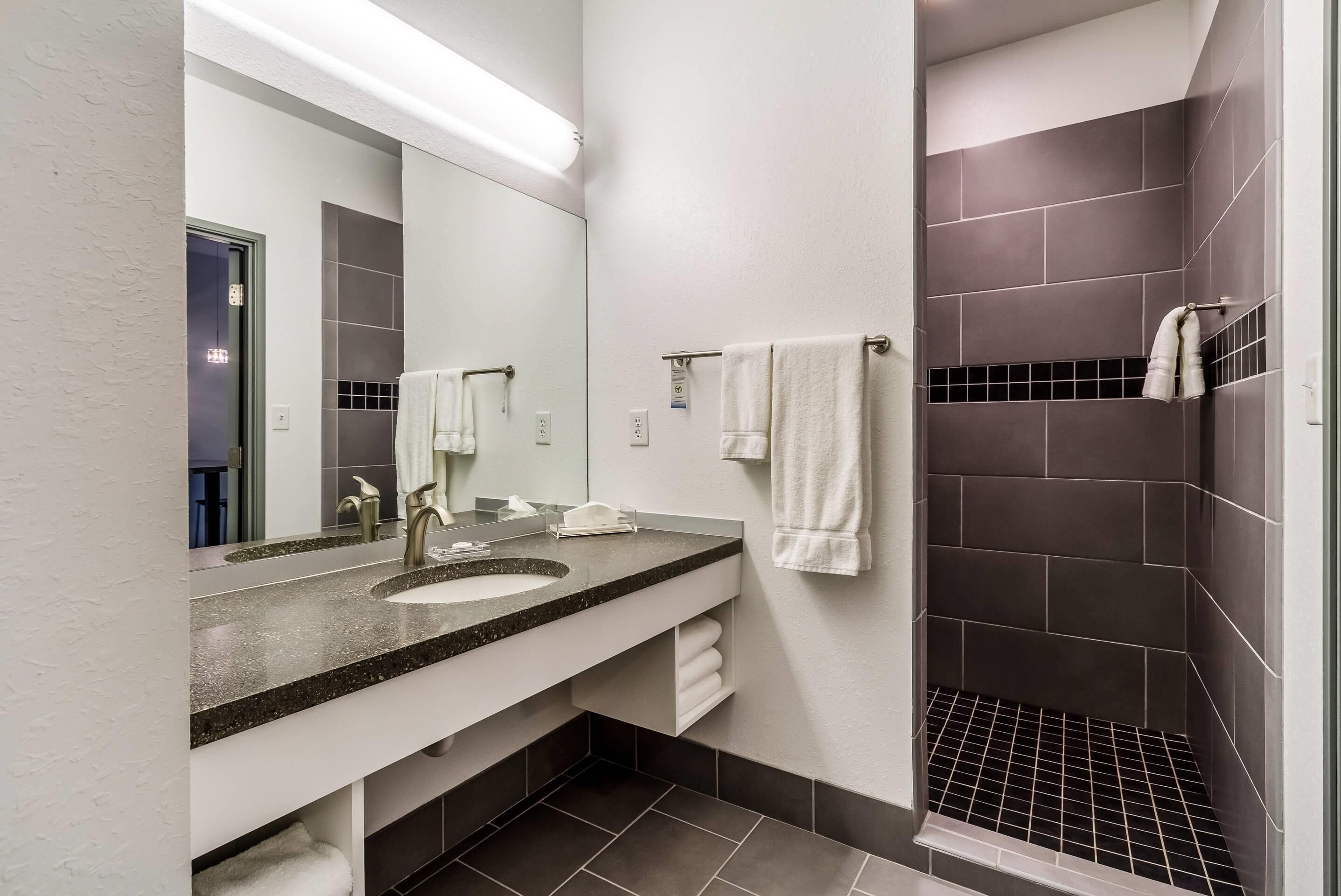 Une salle de bain moderne avec deux lavabos, un grand miroir et un espace douche aux carreaux foncés.