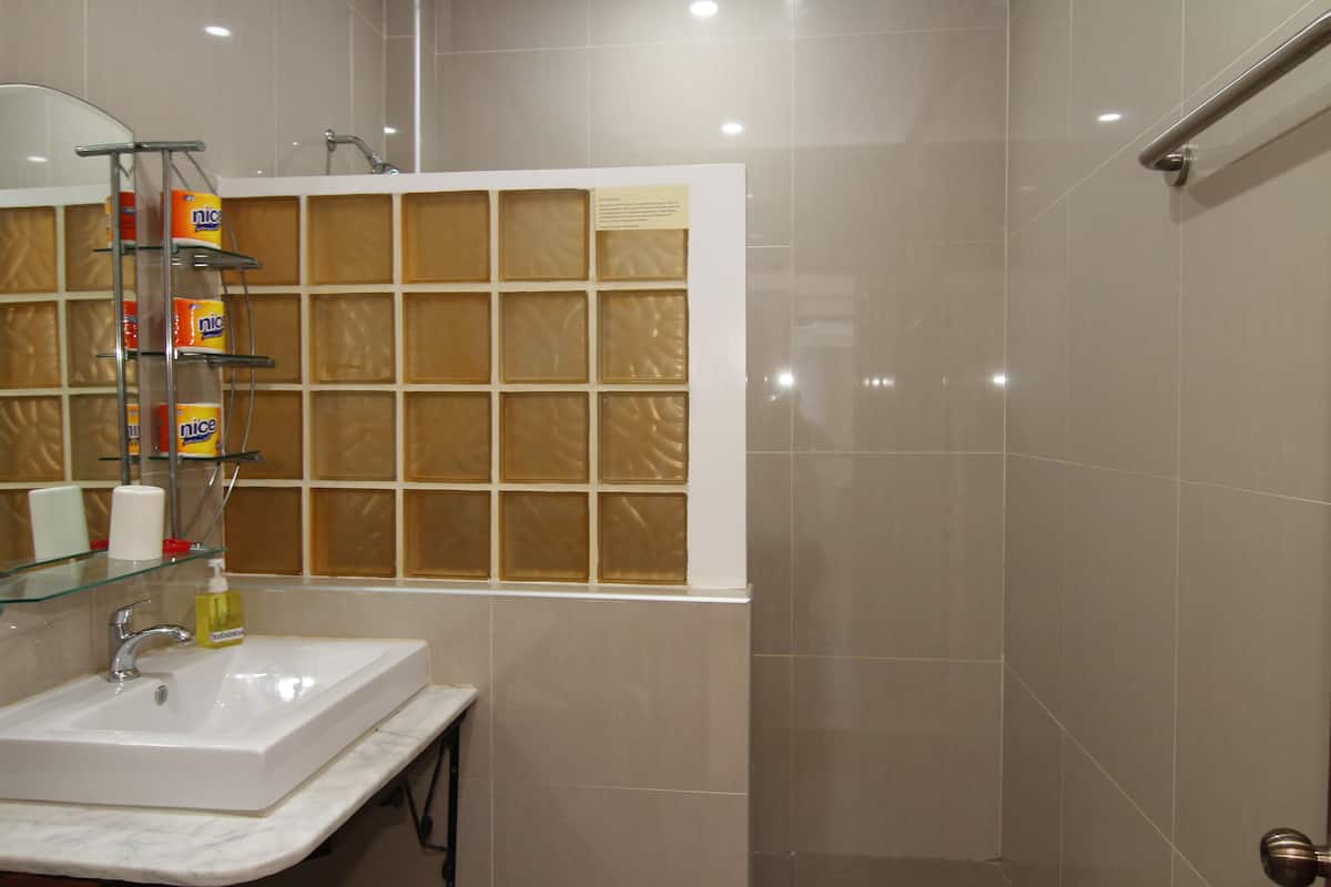 deluxe room | bathroom | shower, rainfall showerhead, hair dryer, bidet
