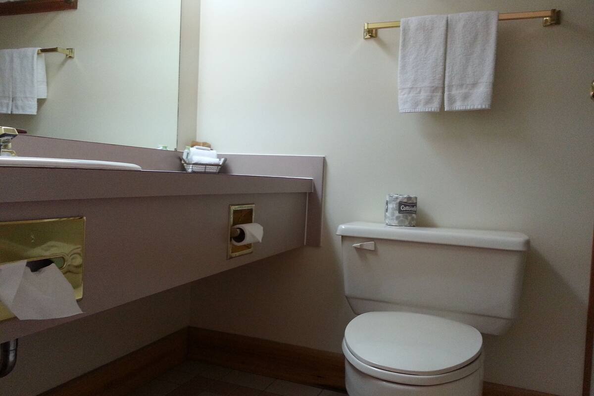 combined shower/bathtub, deep-soaking bathtub, free toiletries