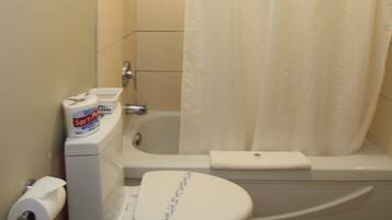 A bathroom with a toilet, a shower, and a bathtub.