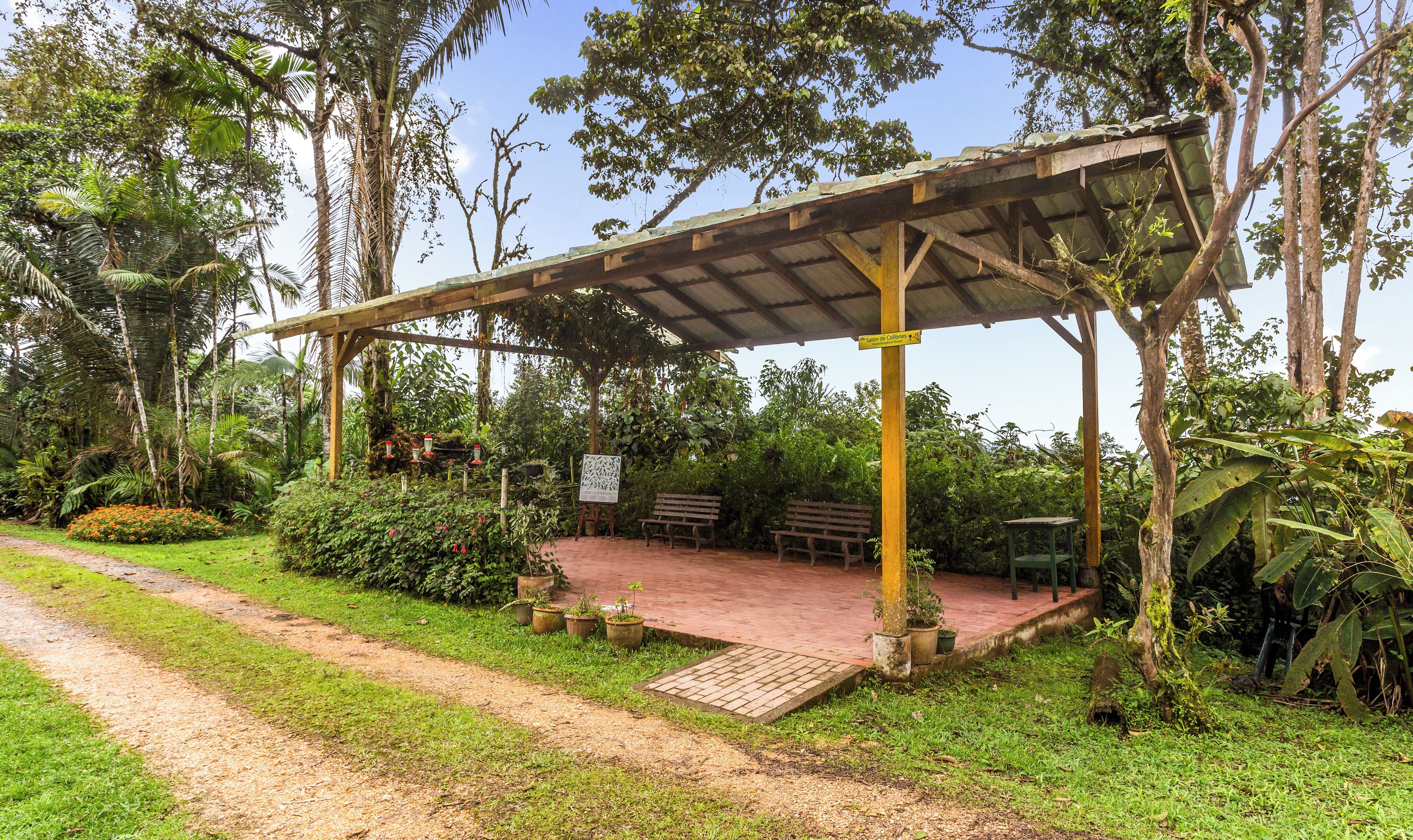 A covered outdoor seating area with benches, surrounded by lush greenery and a dirt path.