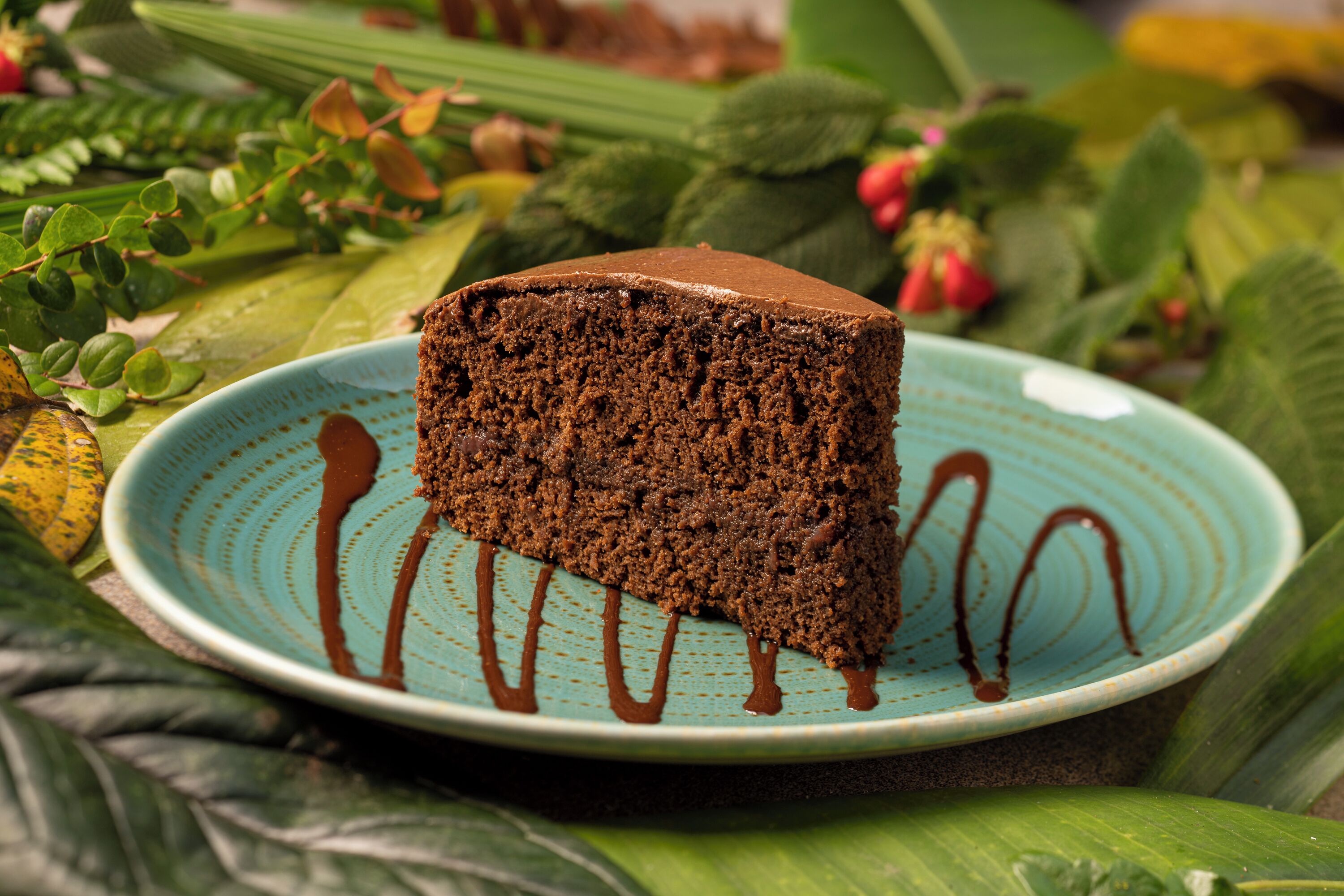 A slice of chocolate cake on a plate with chocolate sauce drizzled on it, surrounded by green leaves and plants.