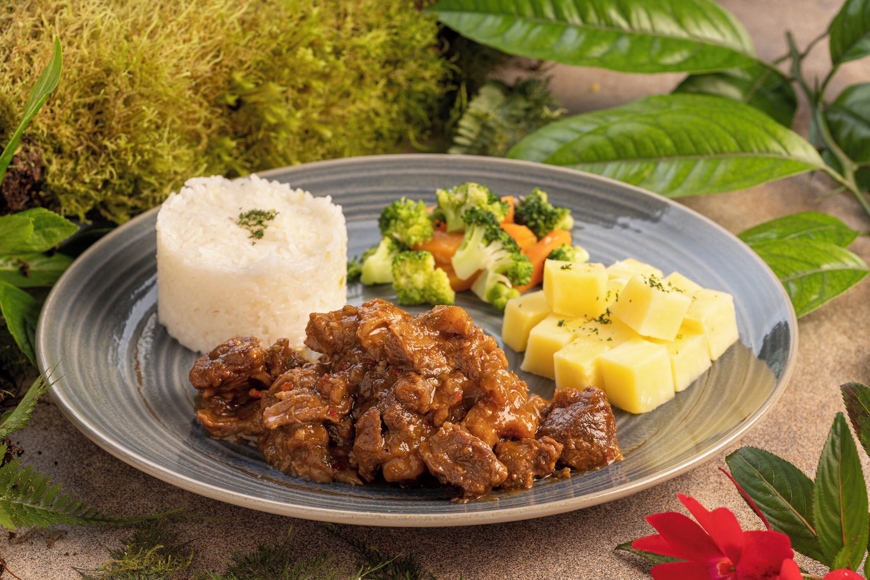 A plate with white rice, beef stew, broccoli, carrots, and pineapple chunks.