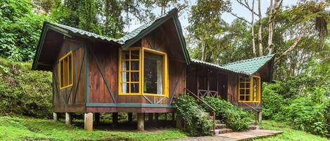 A wooden cabin with a green roof, yellow-framed windows, and a brick pathway leading to it, surrounded by lush greenery.