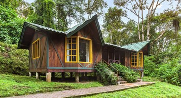 Una cabaña de madera con techo verde, ventanas de marco amarillo y un sendero de ladrillo que la conduce, rodeada de exuberante follaje.