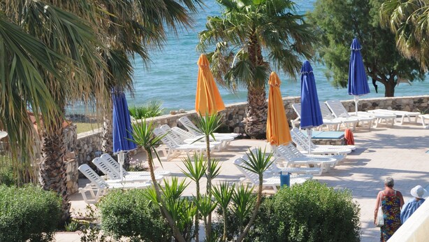 A pool area with lounge chairs and umbrellas, palm trees, and a view of the sea. - Irina Beach Hotel (Kos)