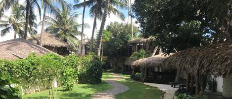 A pathway leading through a lush garden with palm trees and thatched-roof structures.