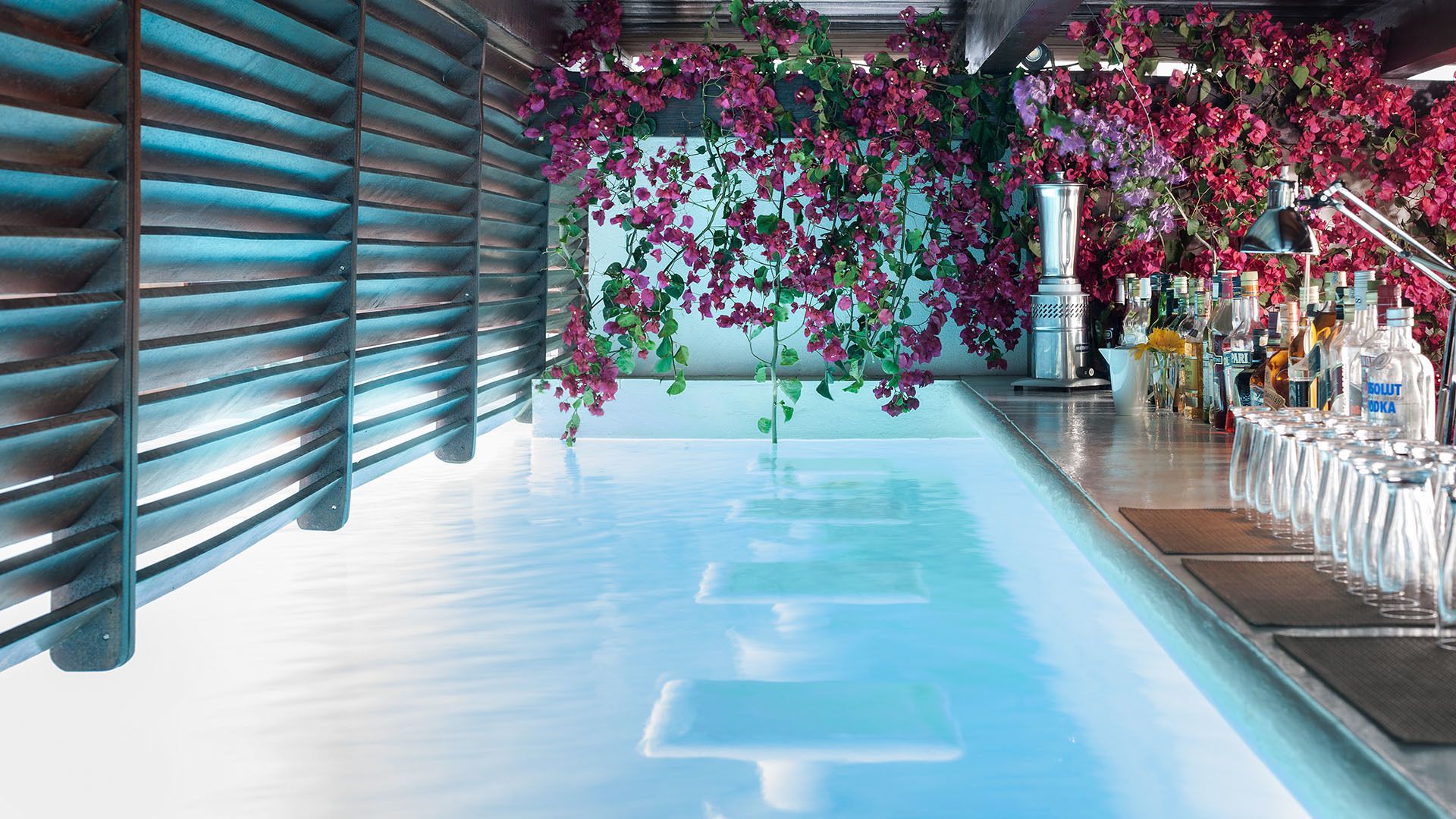 A bar area with a long counter, a metal railing on one side, and hanging flowers.