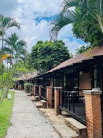 Cortinas blackout y ropa de cama 