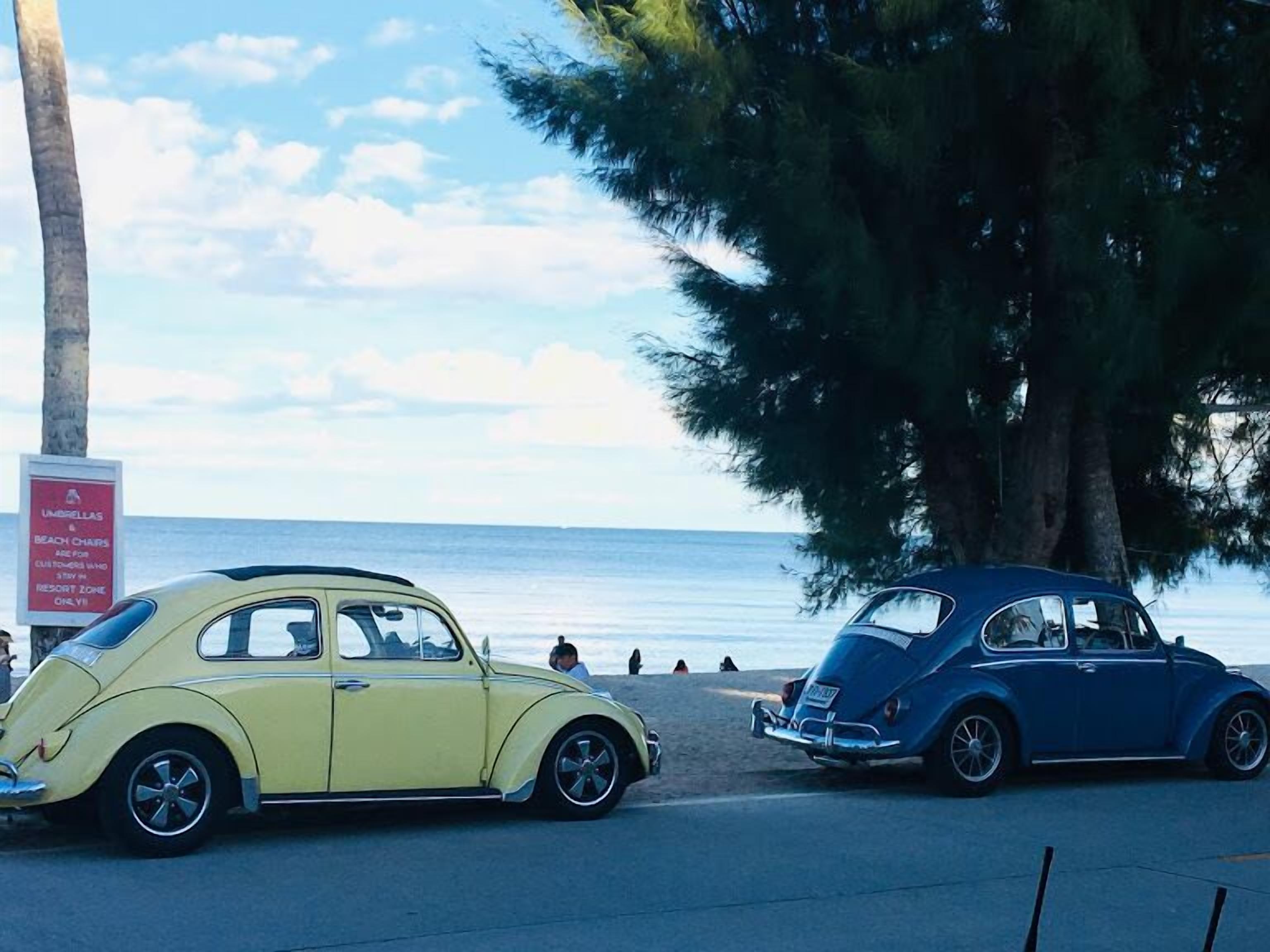 Two vintage cars parked near a beach with a sign indicating beach chairs and umbrellas are available for customers.