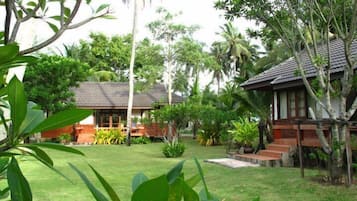 Vista desde la habitación