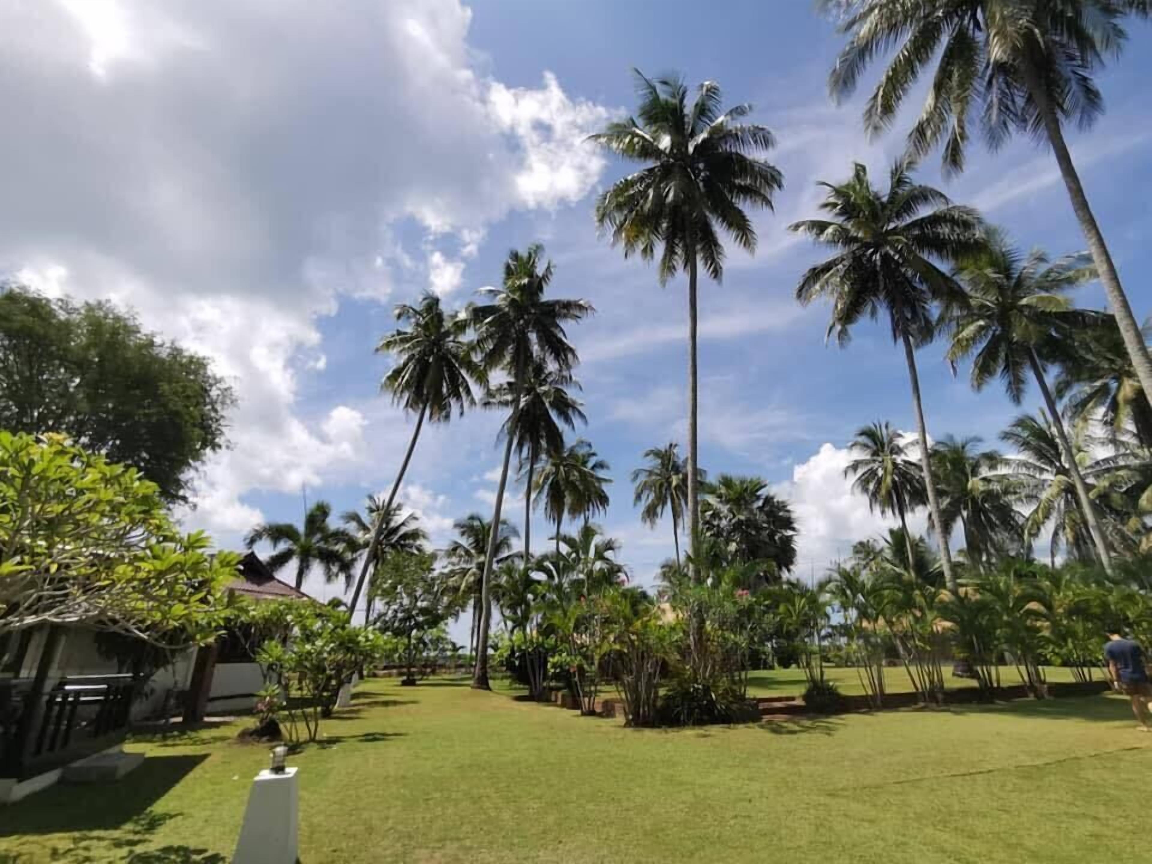 A tropical landscape with palm trees and a clear sky.