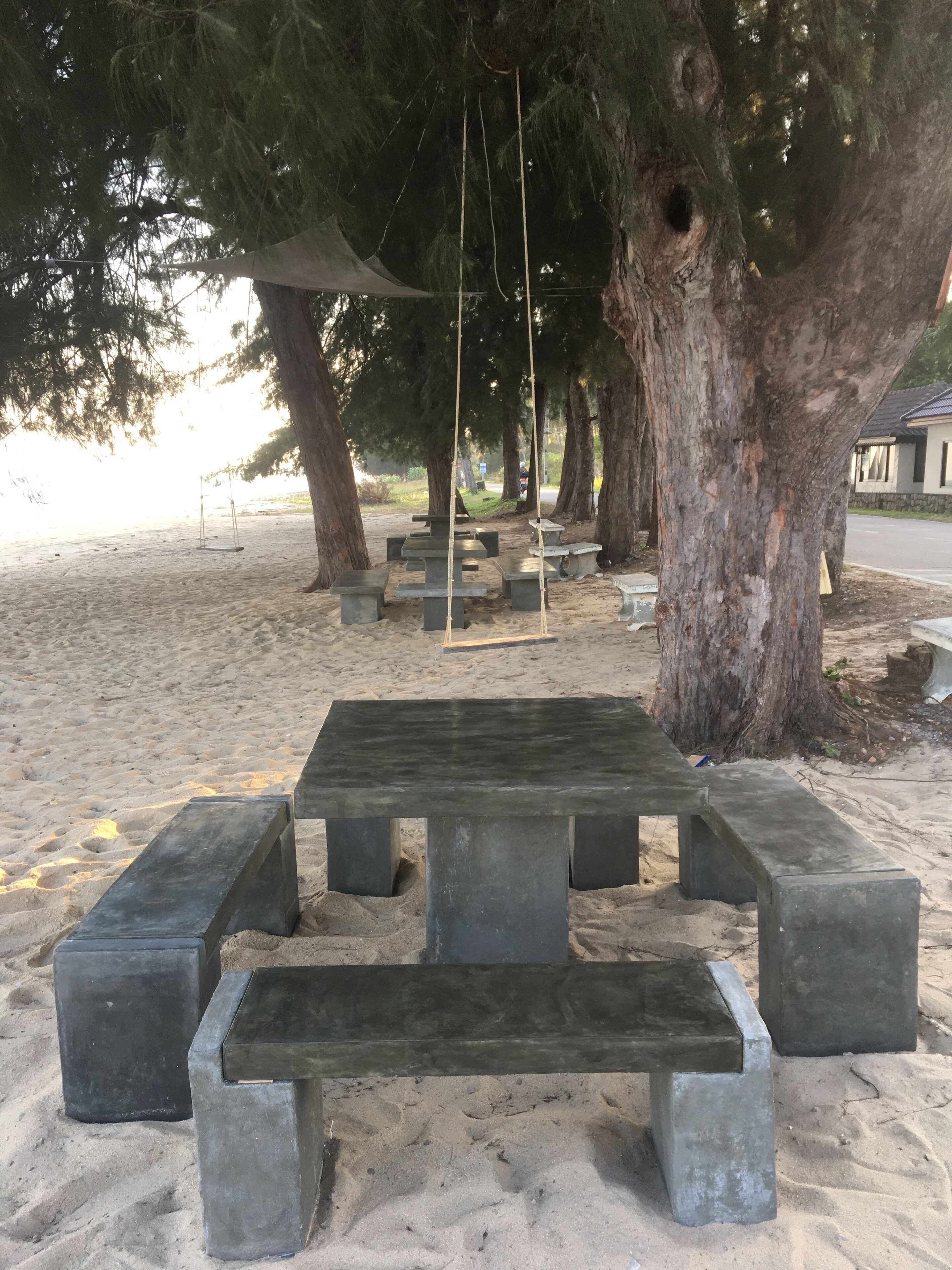 Zona de picnic en la playa con bancos de hormigón y mesas de picnic bajo los árboles.