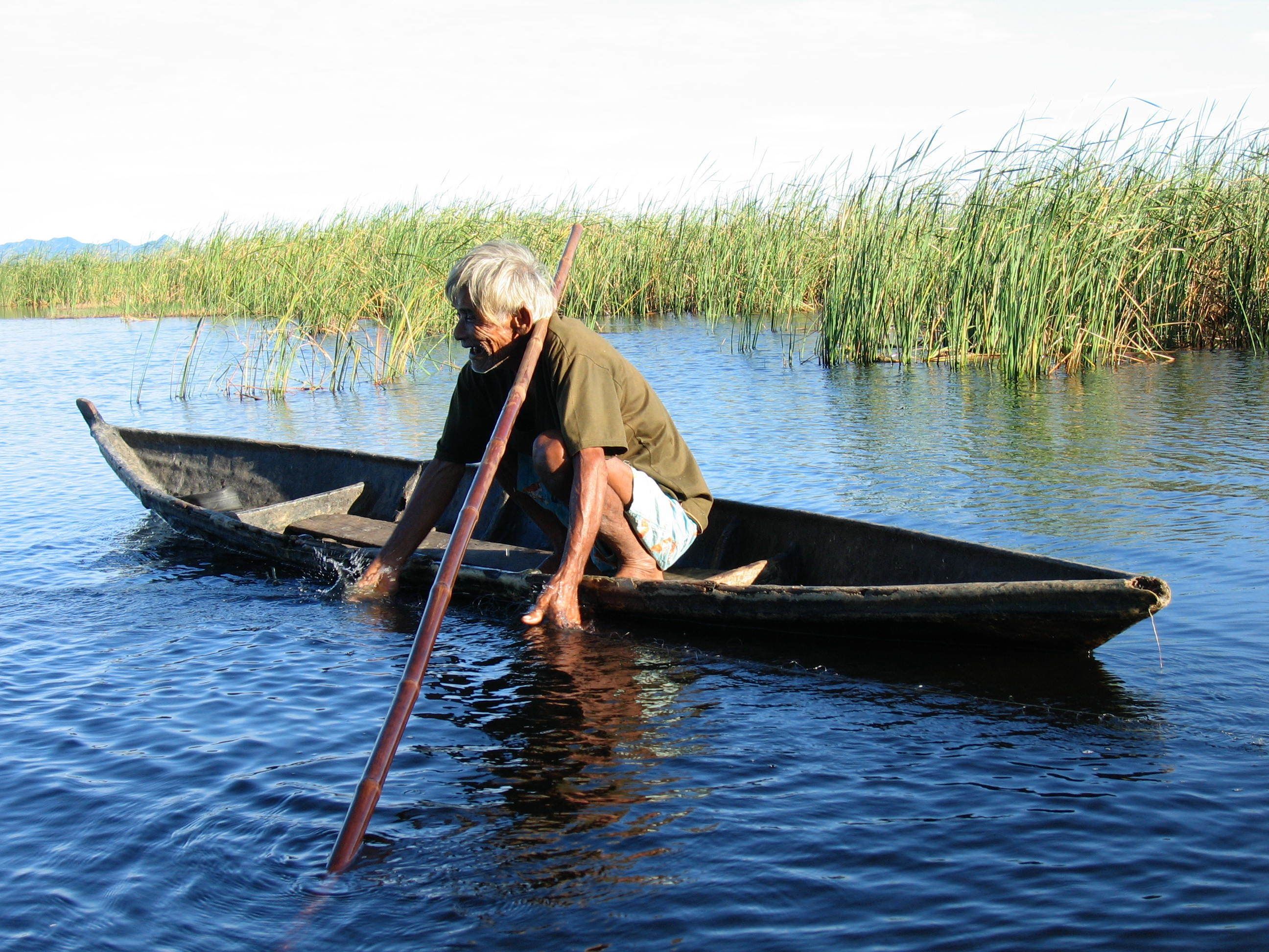 Une personne se trouve dans un petit bateau sur une étendue d’eau, avec de hautes herbes en arrière-plan.