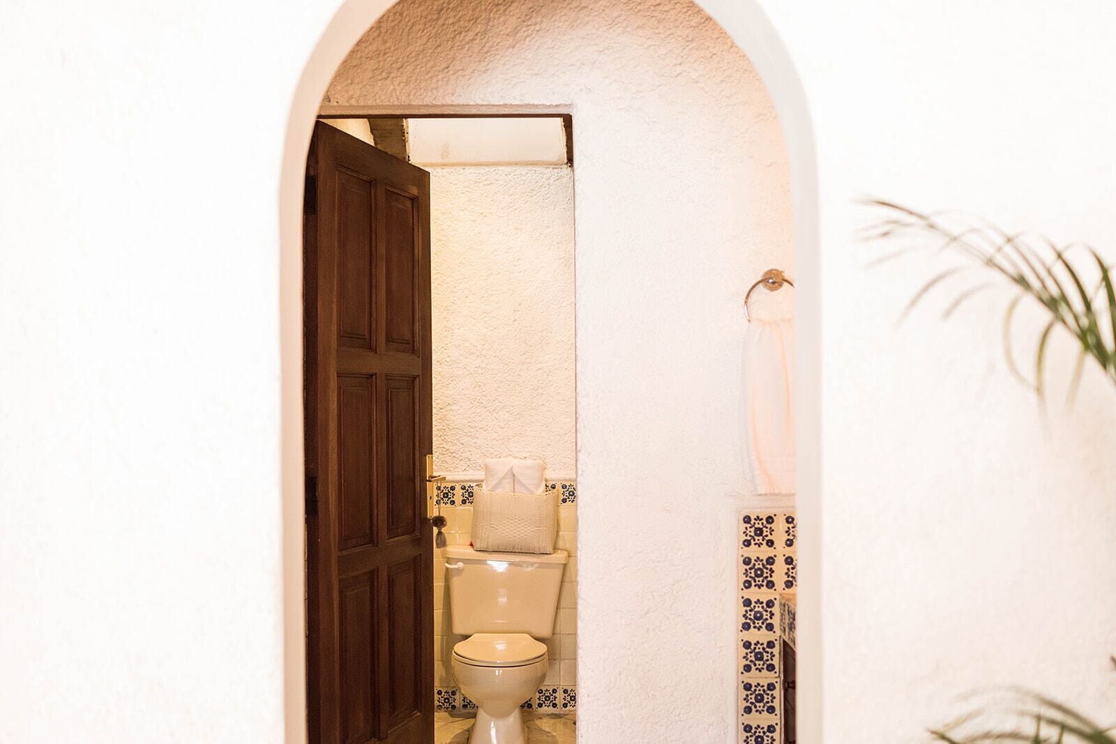 Un baño con inodoro, toallero y una planta.