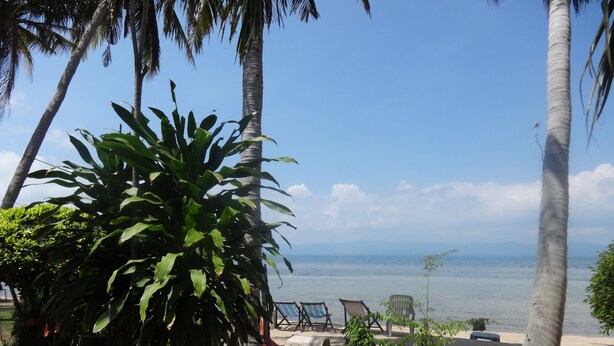 A tropical outdoor seating area with palm trees, a concrete planter with plants, and a view of the sea. - Bird Bungalow (Ko Pha-ngan)