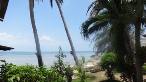 A view of a beach with palm trees and a clear sky. - Bird Bungalow (Ko Pha-ngan)