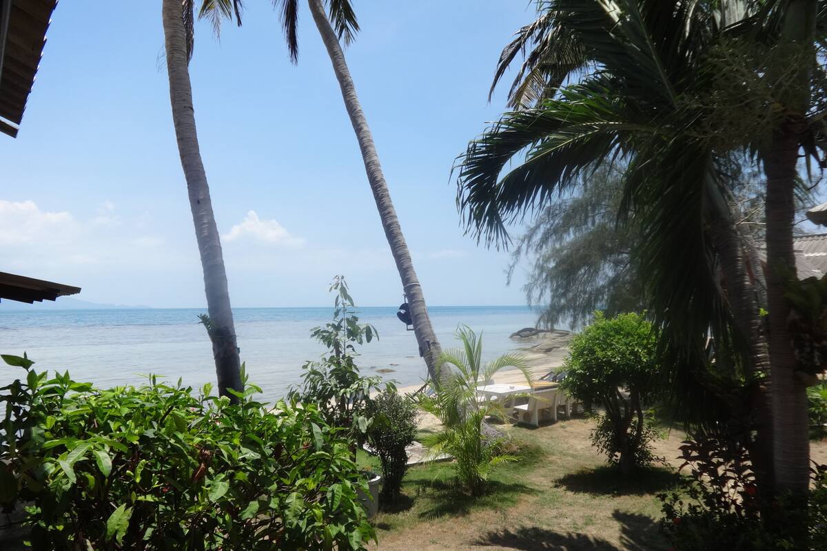 Vista de una playa con palmeras y cielo despejado.