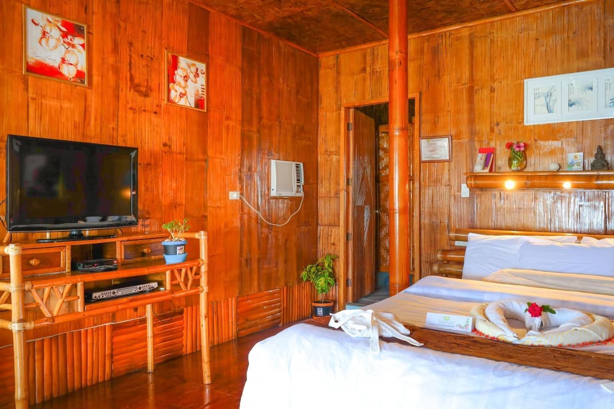 A wooden room with a bed, a TV, a small table with plants, and a shelf with decorative items.