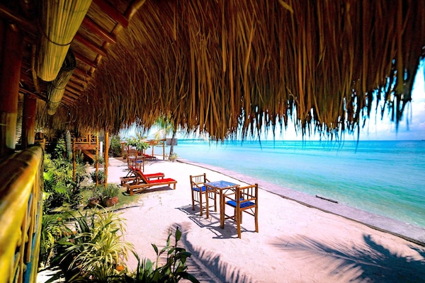 Suíte clássica | Terraço/pátio