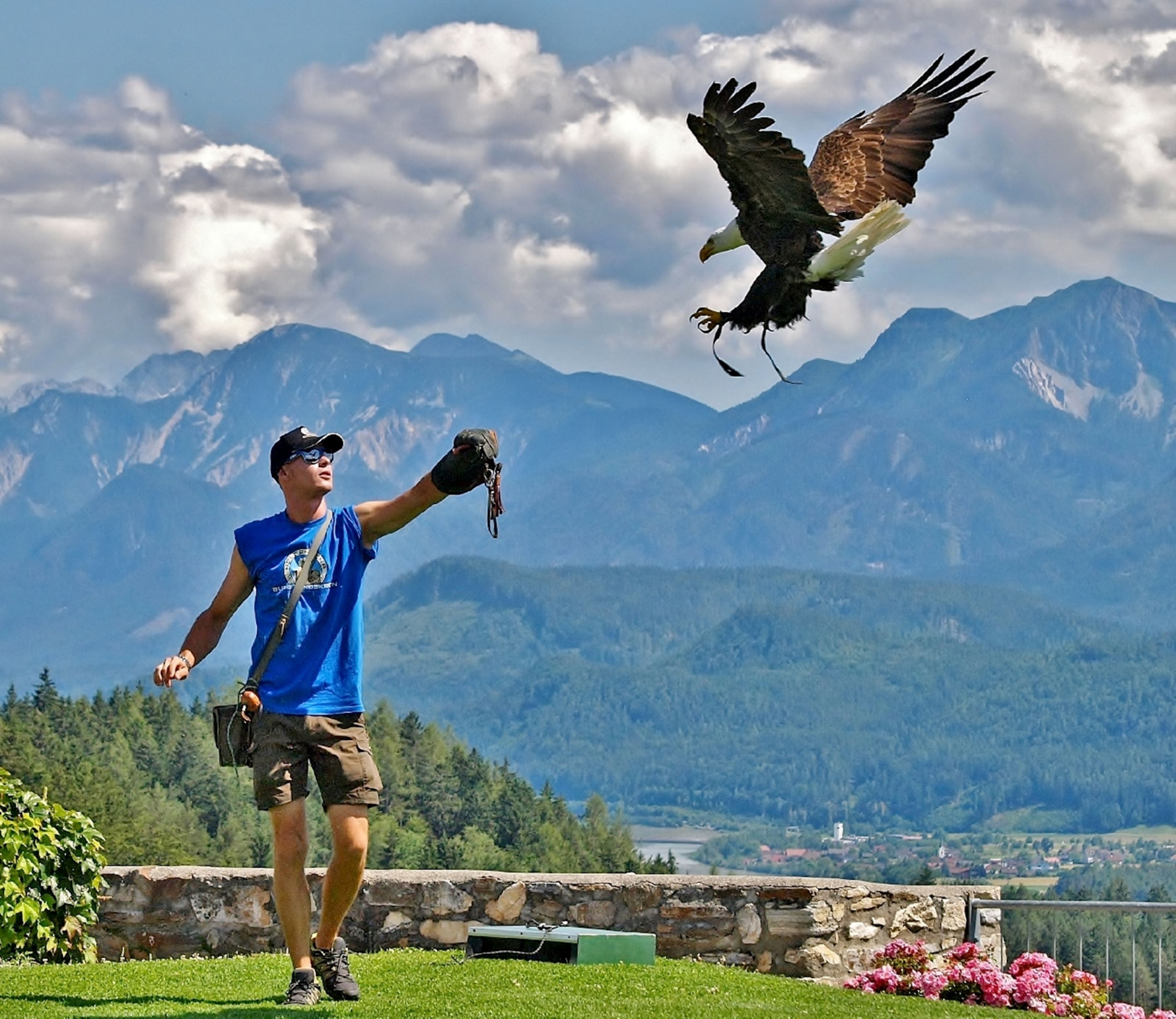 A person holding a bird of prey in a mountainous landscape.