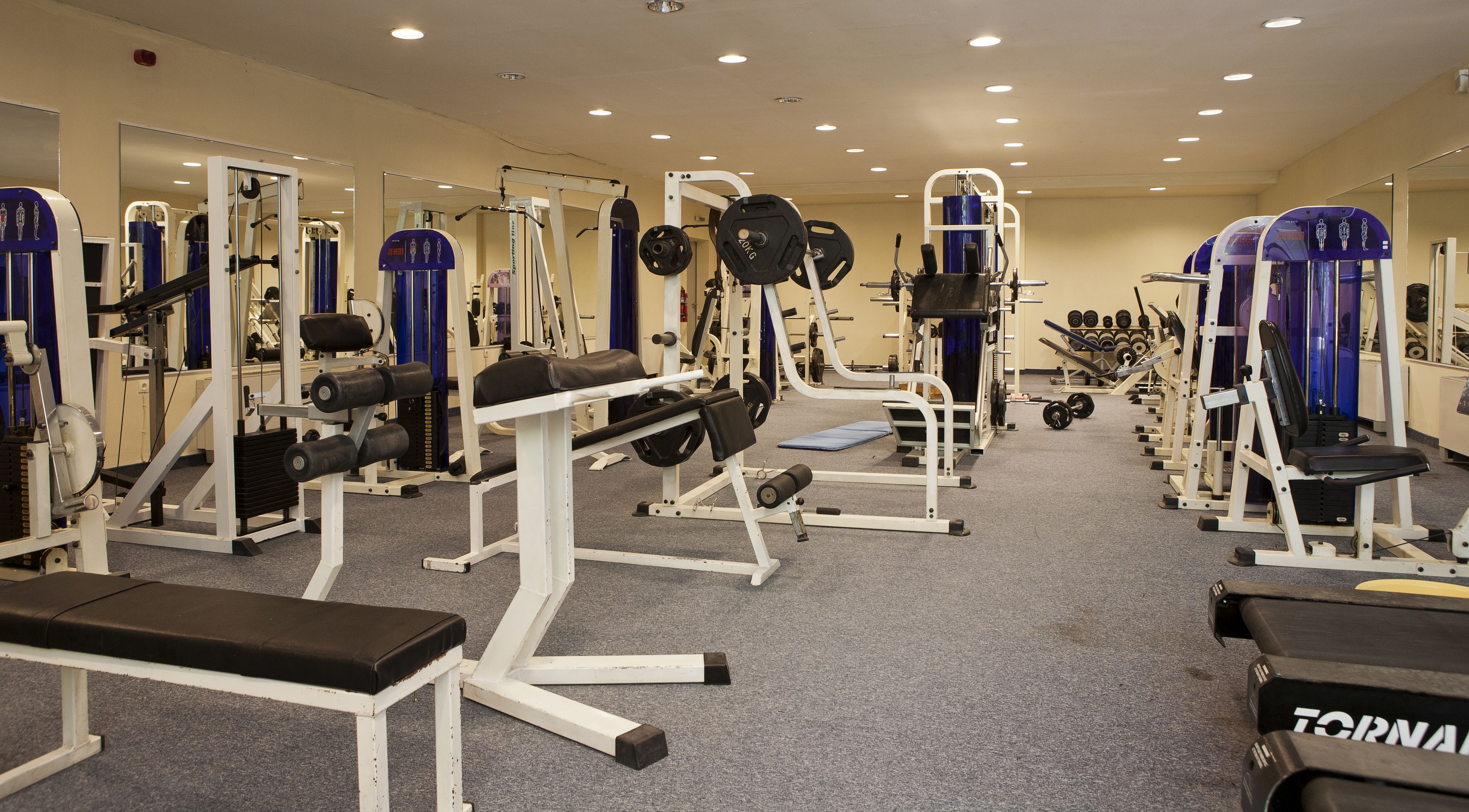 A gym with various exercise equipment, including weight machines, free weights, and cardio machines.