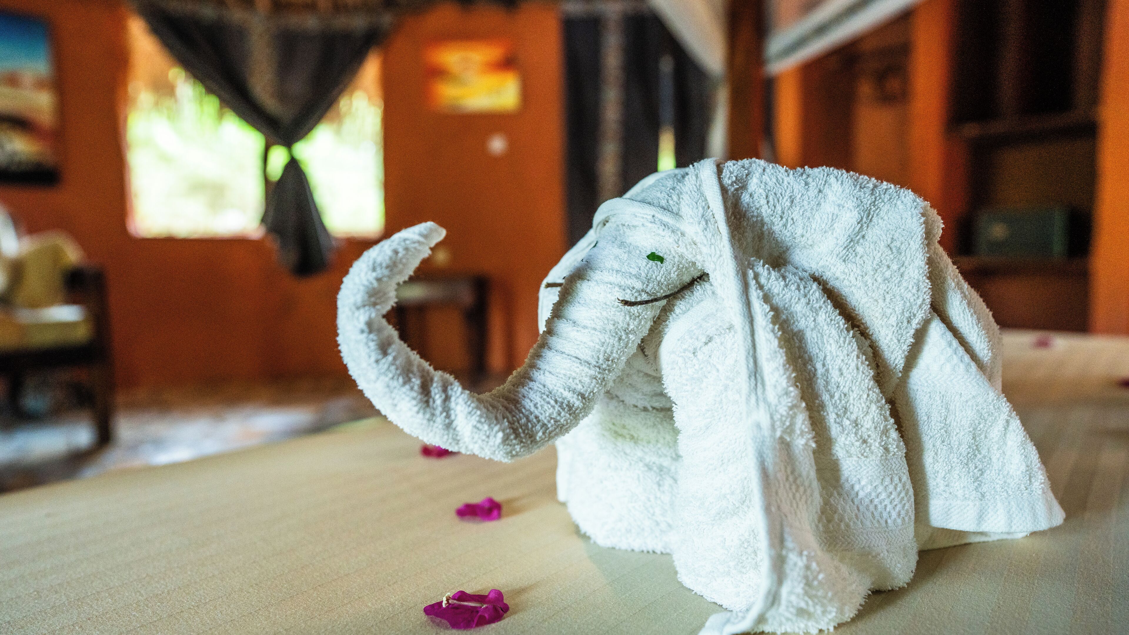 Un peluche de elefante sobre una cama con una manta blanca, rodeado de pétalos de rosa dispersos.