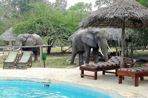 Piscina externa, espreguiçadeiras