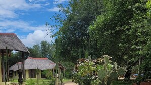 A wooden pathway leading to thatched-roof structures amidst lush greenery and cacti. - Africa Safari Selous (Selous Game Reserve)